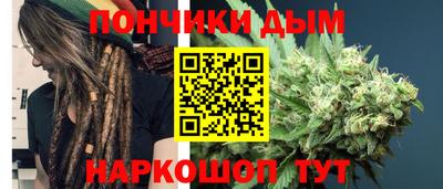 mdpv Заводоуковск