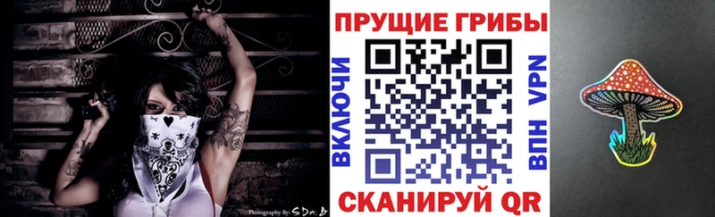 Псилоцибиновые грибы мицелий цена Энгельс