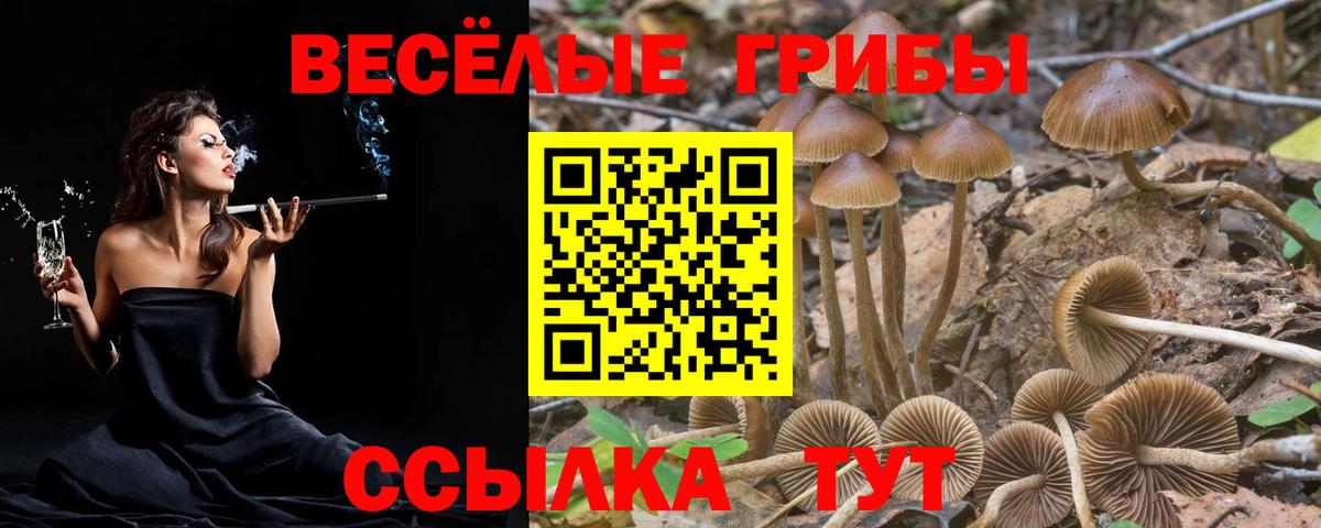 Псилоцибиновые грибы ЛСД  Вход с VPN  Галлюциногенные грибы Magic Shrooms  Энгельс 